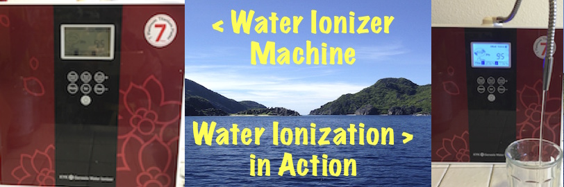 Water for Life USA Water Ionizer