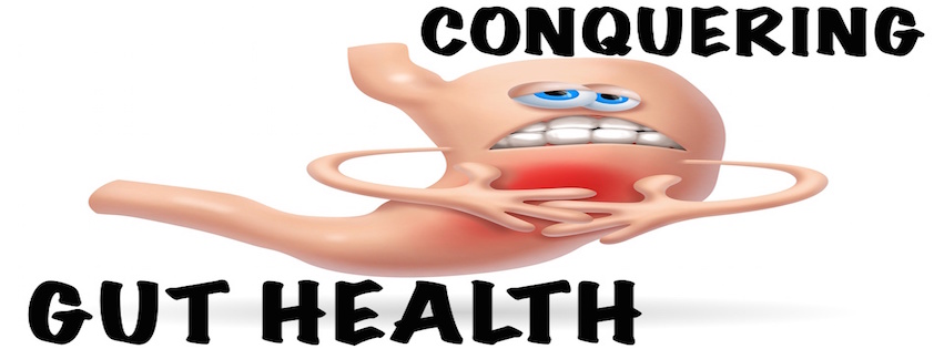 How do obtain Gut Health?