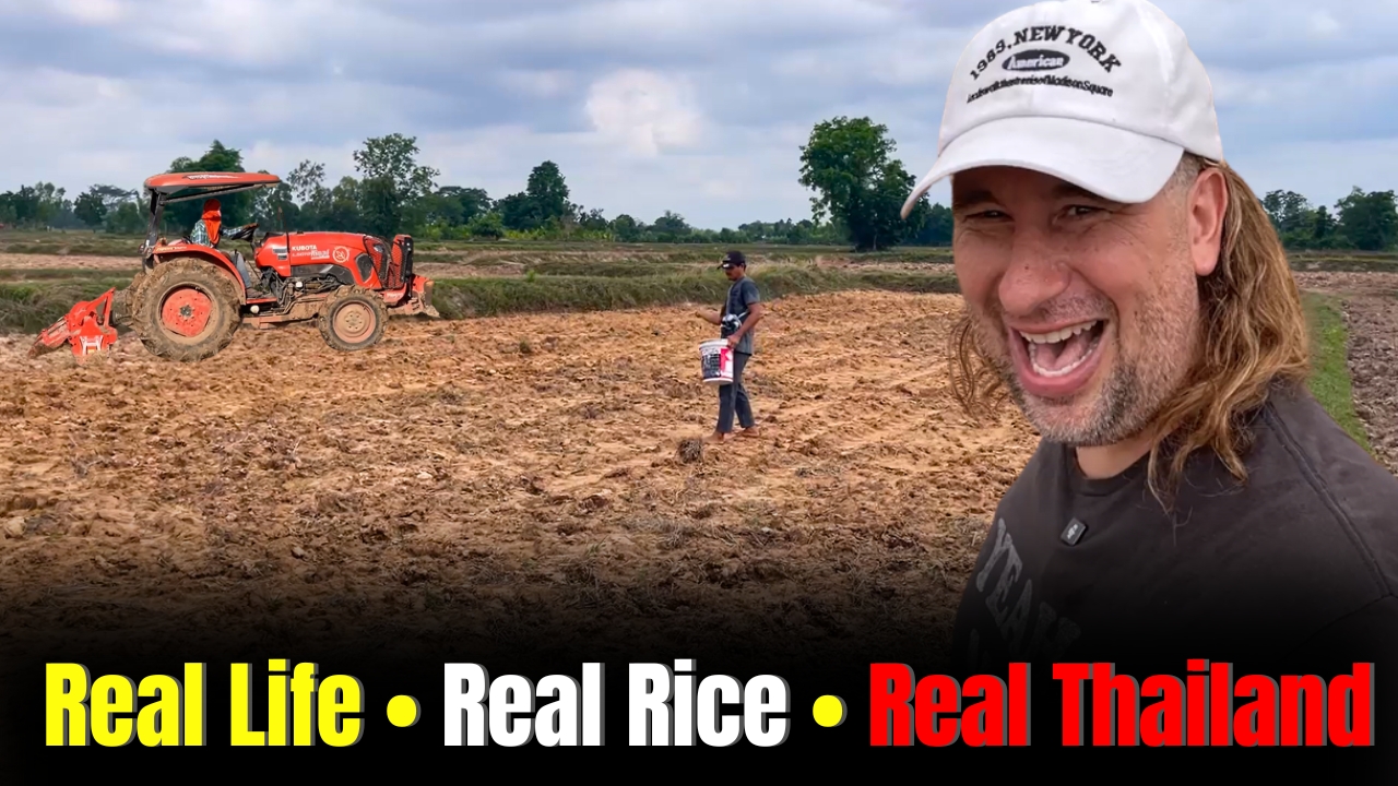 picture of banner image Planting Rice in Thailand 🌾 A Real Look at Thai Village Life (Full Vlog)