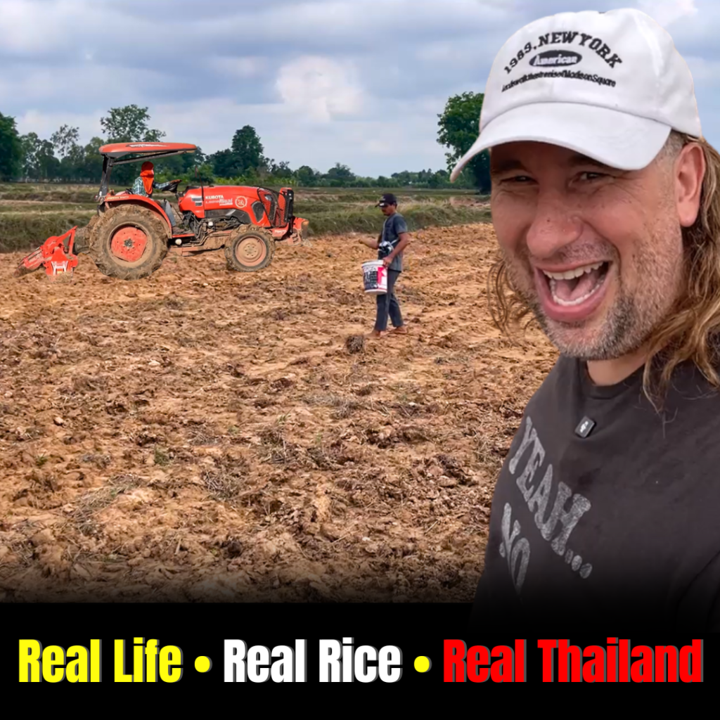 picture of Planting Rice in Thailand 🌾 A Real Look at Thai Village Life (Full Vlog)