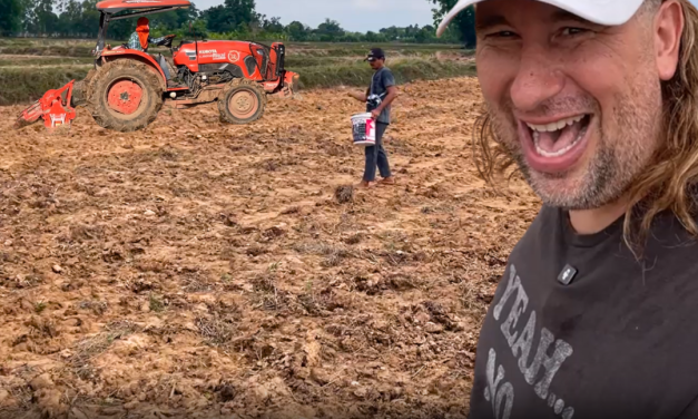 Planting Rice in Thailand