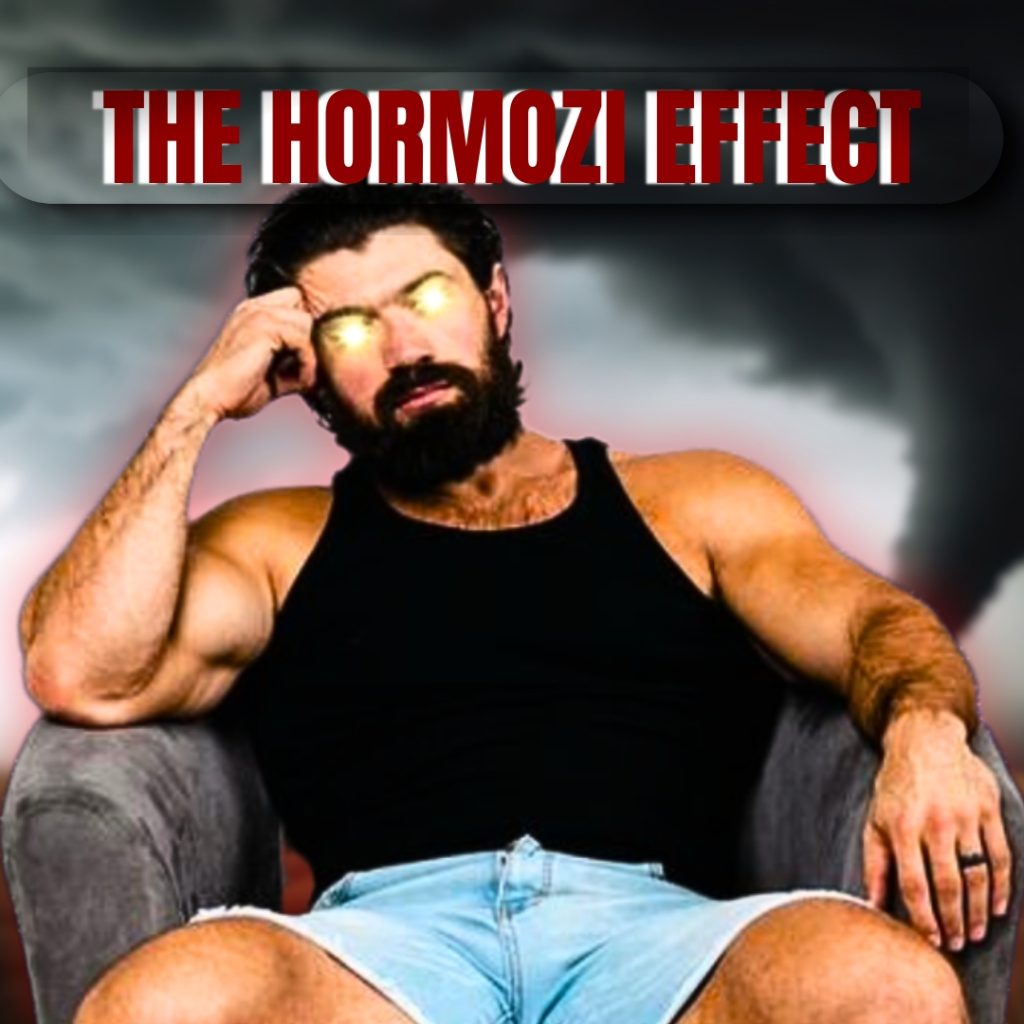 picture of THE HORMOZI EFFECT